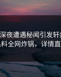 明星在深夜遭遇秘闻引发轩然大波，黑料全网炸锅，详情直击