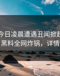 明星在今日凌晨遭遇丑闻掀起轩然大波，黑料全网炸锅，详情围观