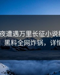 大V在深夜遭遇万里长征小说掀起轩然大波，黑料全网炸锅，详情直击