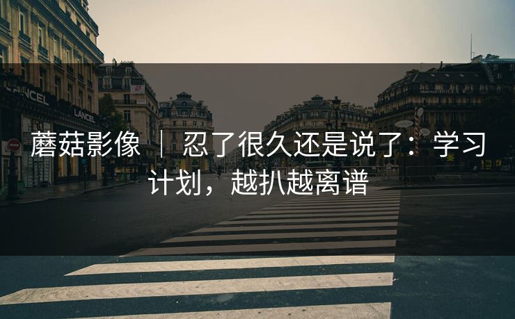 蘑菇影像 | 忍了很久还是说了:学习计划,越扒越离谱 蘑菇影像 | 忍了很久还是说了:学习计划,越扒越离谱